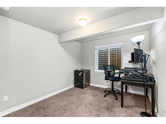 1828 Paley Dr, Windsor, CO 80550