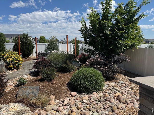 1828 Paley Dr, Windsor, CO 80550