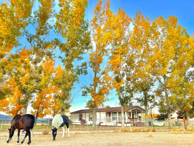 2801 Tamara Court, Minden, NV 89423