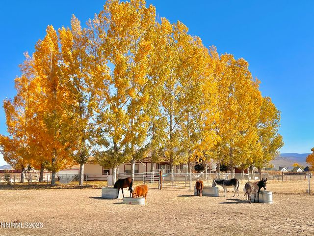 2801 Tamara Court, Minden, NV 89423