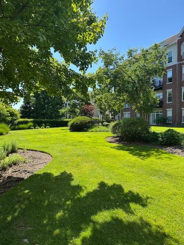 7753 Van Buren Street 212, Forest Park, IL 60130