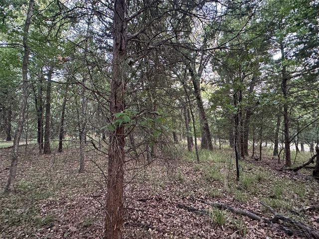 103 Cedar Oaks Drive, Mabank, TX 75156
