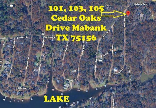 103 Cedar Oaks Drive, Mabank, TX 75156
