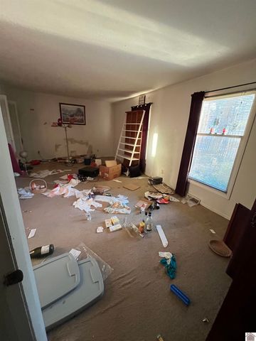 1334 State Route 1668, Marion, KY 42064