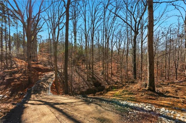 6.651 Acres on Orlando Path, Dallas, GA 30157