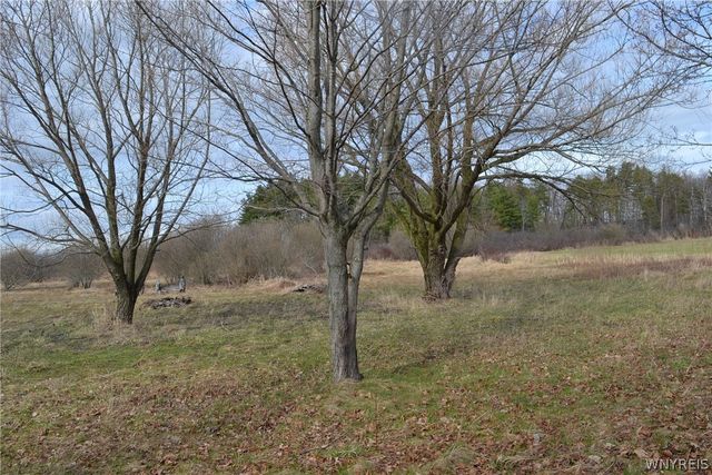 12516 Centerline Road, Wales, NY 14139