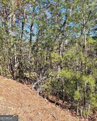 0 Rosen Strasse, Helen, GA 30545