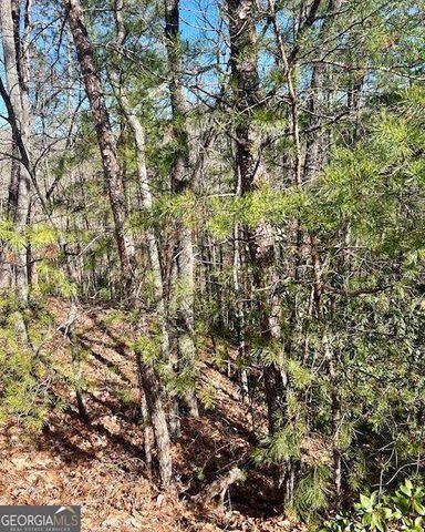 0 Rosen Strasse, Helen, GA 30545