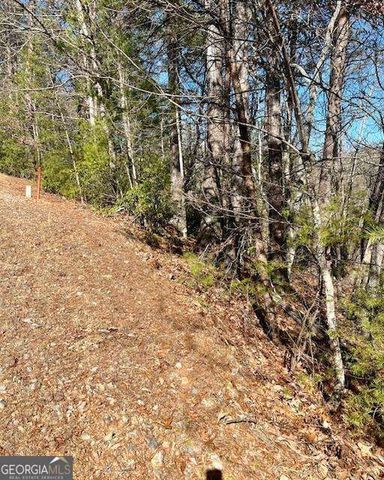 0 Rosen Strasse, Helen, GA 30545