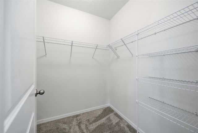 6794 WAGON TRAIL STREET, Zephyrhills, FL 33541