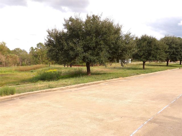 TBD Renaissance Way, Crockett, TX 75835