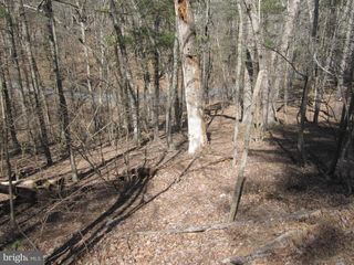 180 SPRUCE LANE, Mount Jackson, VA 22842