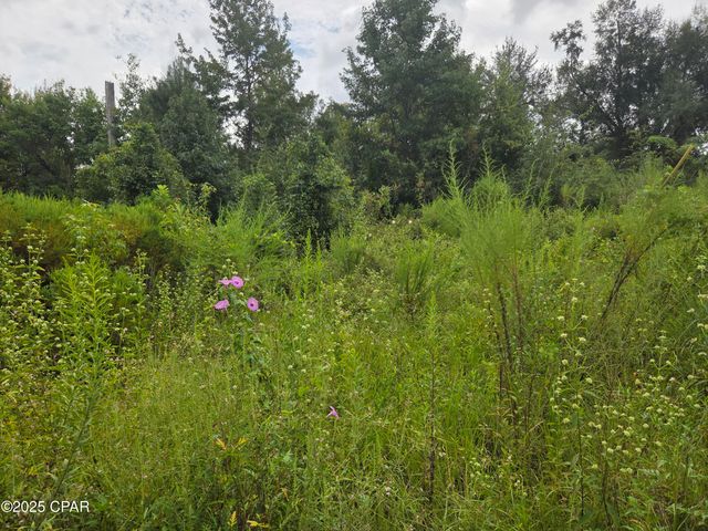 7215 Diane Lane, Panama City, FL 32404