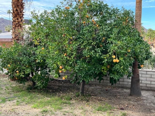 0 Avenida Navarro, La Quinta, CA 92253