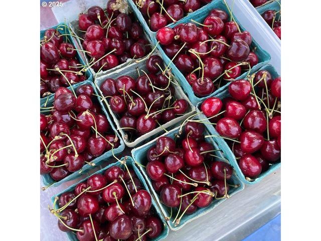 3937 Se COUSTEAU Dr, Salem, OR 97302