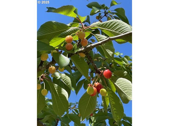 3937 Se COUSTEAU Dr, Salem, OR 97302