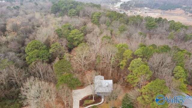 5615 Cherrywood Drive, Guntersville, AL 35976