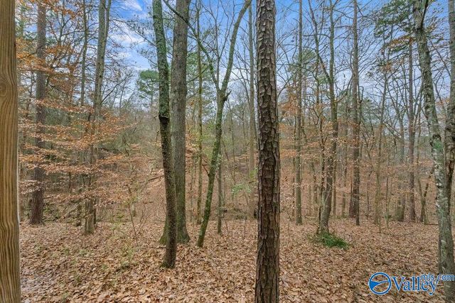 5615 Cherrywood Drive, Guntersville, AL 35976