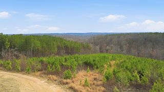 0 Highway 232, Dover, TN 37058