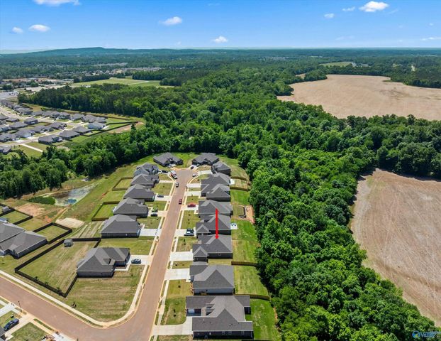 16375 Sunfish Lane NW, Harvest, AL 35749