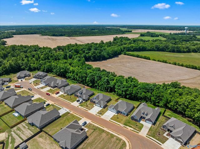 16375 Sunfish Lane NW, Harvest, AL 35749