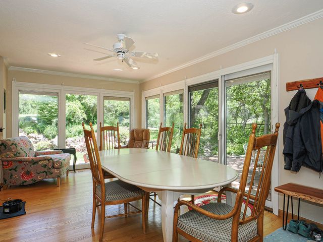 8307 S ASHLEY AVE, Sandy, UT 84093