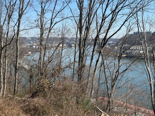 414 Dogwood Lane, Chattanooga, TN 37405