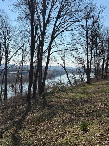 414 Dogwood Lane, Chattanooga, TN 37405