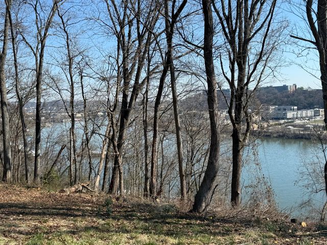 414 Dogwood Lane, Chattanooga, TN 37405