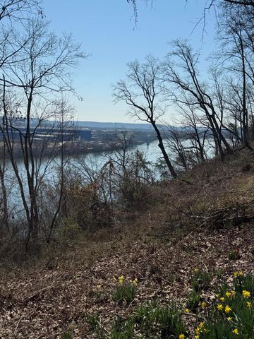 414 Dogwood Lane, Chattanooga, TN 37405
