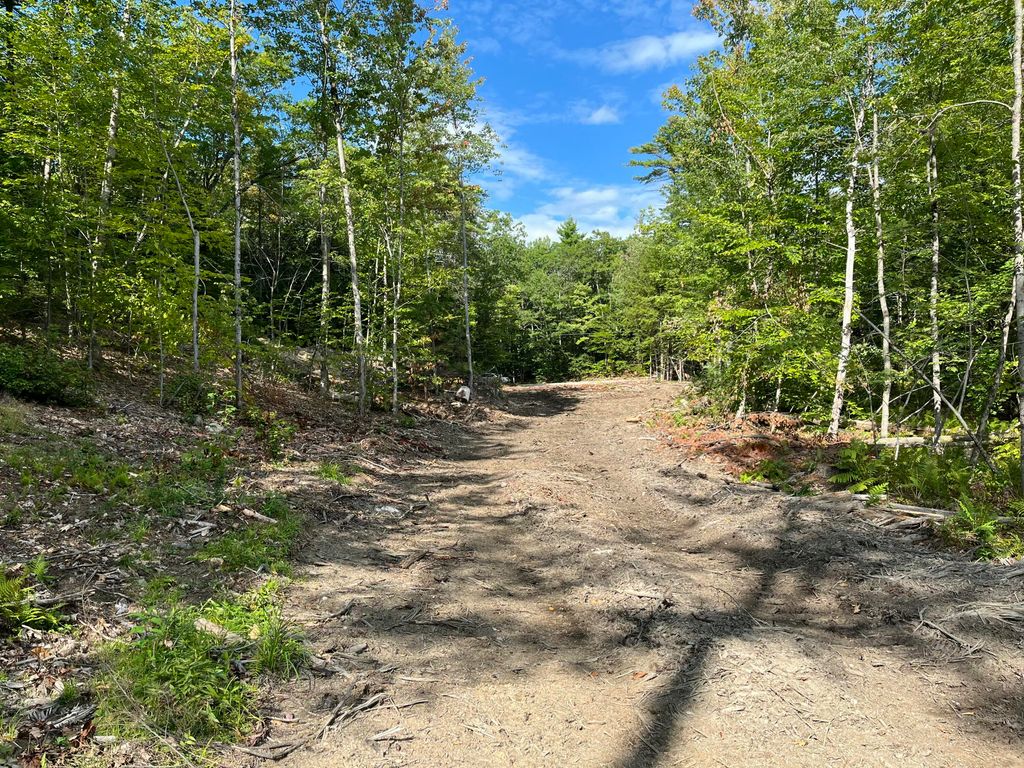 203 Robinson Hill Road, Sebago, ME 04029 — photo 3