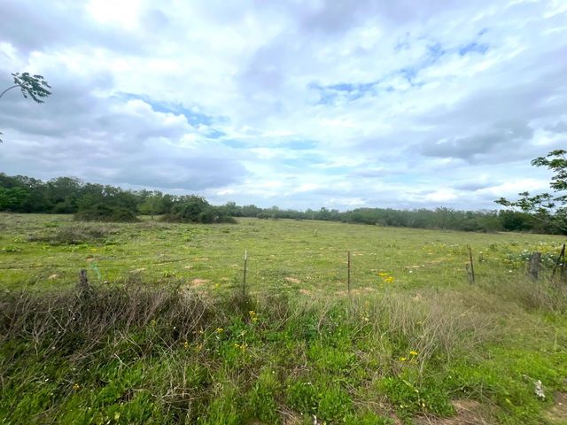1900 Hluchan, Sealy, TX 77474
