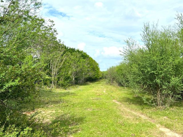 1900 Hluchan, Sealy, TX 77474