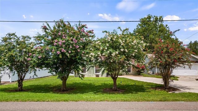 11746 OSWALT ROAD, Clermont, FL 34711