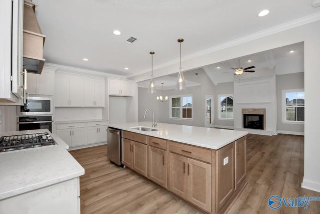 113 Menervy Lane, Meridianville, AL 35759