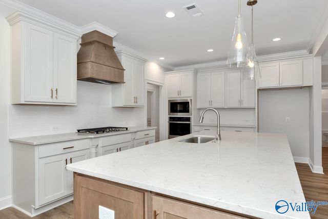 113 Menervy Lane, Meridianville, AL 35759