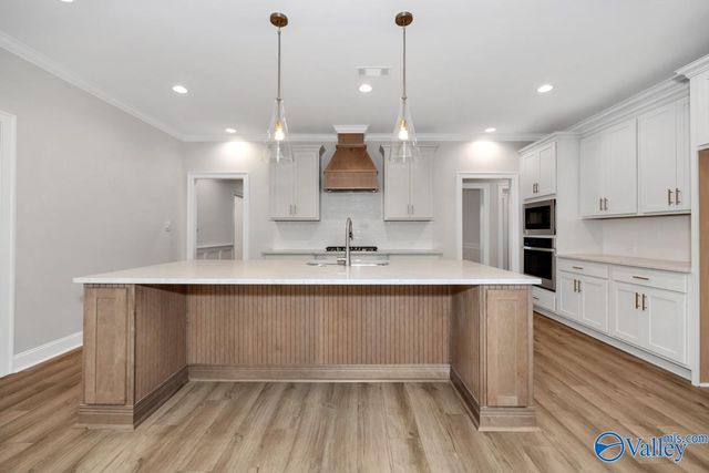 113 Menervy Lane, Meridianville, AL 35759