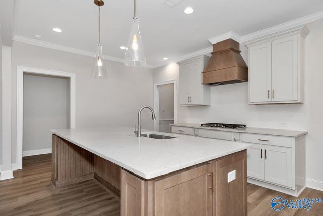 113 Menervy Lane, Meridianville, AL 35759