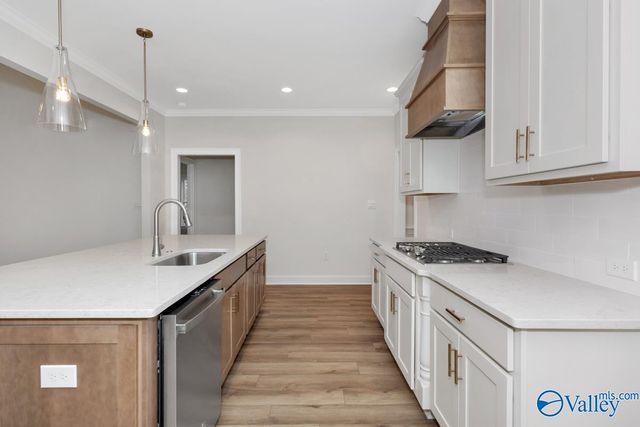 113 Menervy Lane, Meridianville, AL 35759