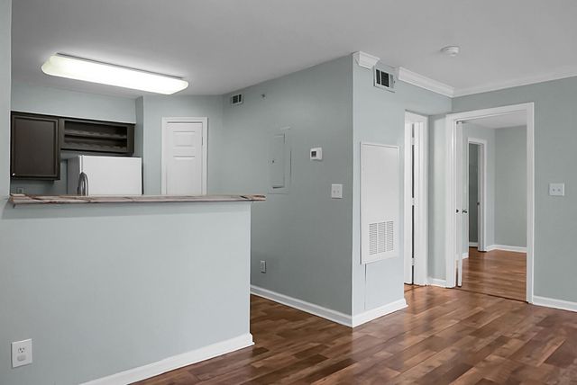 700 Daniel Ellis Drive 4306, Charleston, SC 29412