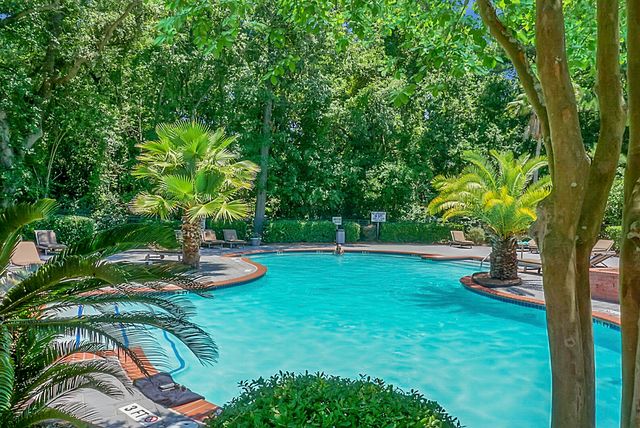 700 Daniel Ellis Drive 4306, Charleston, SC 29412