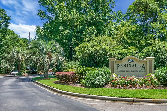 700 Daniel Ellis Drive 4306, Charleston, SC 29412