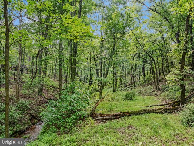 TRACT 2 GRECIAN LN, Hedgesville, WV 25427