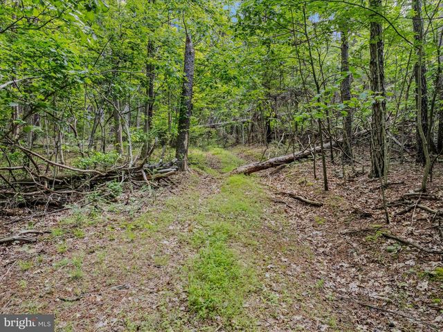 TRACT 2 GRECIAN LN, Hedgesville, WV 25427