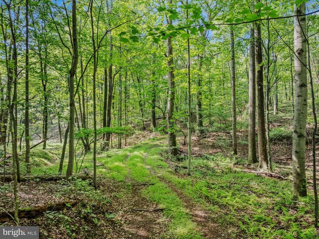 TRACT 2 GRECIAN LN, Hedgesville, WV 25427