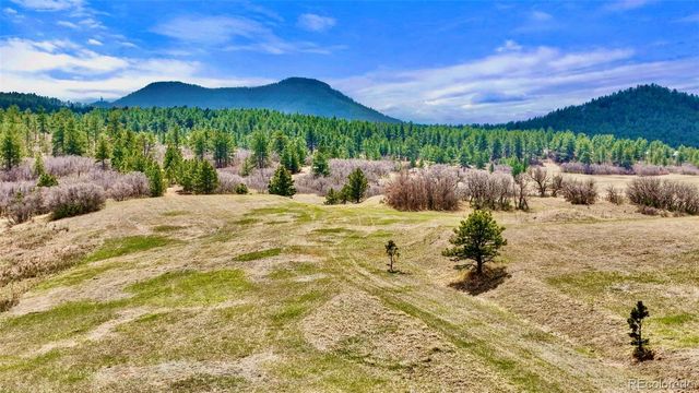 1 S Perry Park Road, Larkspur, CO 80118