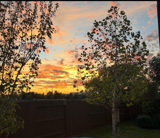 3437 Harvest Valley Lane, Pearland, TX 77581