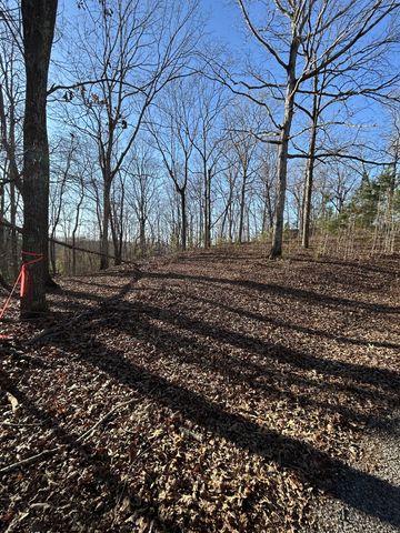 0 Snow Road, Big Sandy, TN 38221