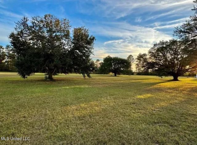 20 Anastasia Drive, Carriere, MS 39426