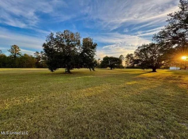 20 Anastasia Drive, Carriere, MS 39426